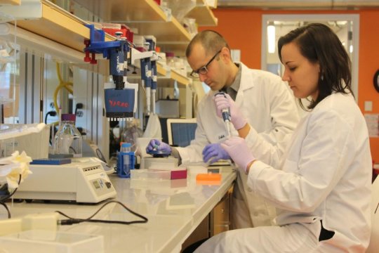 In a study in Science, researchers Yaniv Erlich and Dina Zielinski describe a new coding technique for maximizing the data-storage capacity of DNA molecules. Credit: New York Genome Center